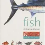 Alacsony ár Fish of Britain & Europe byMiller, Peter; Loates, Michael J.;