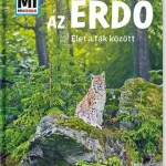 Akciós ár Az erdő: Élet a fák között - Mi Micsoda