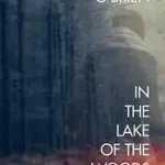 Újdonság IN THE LAKE OF THE WOODS byO’Brien, Tim;