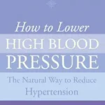 HOW TO LOWER HIGH BLOOD PRESSURE: The Natural Four Point Plan to Reduce Hypertension [New edition] byShreeve, Dr. Caroline; Expressz kézbesítés