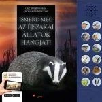 Árengedmény Ismerd meg az éjszakai állatok hangját!