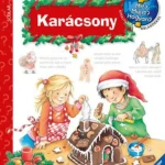 Különleges ajánlat Karácsony - Mit, Miért, Hogyan?