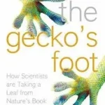 THE GECKO’S FOOT: How Scientists are Taking a Leaf from Nature's Book byForbes, Peter; Vedd meg most