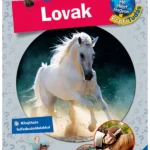 Népszerű Lovak - Mit? Miért? Hogyan? Profi Tudás