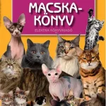 Macskakönyv Utolsó esély