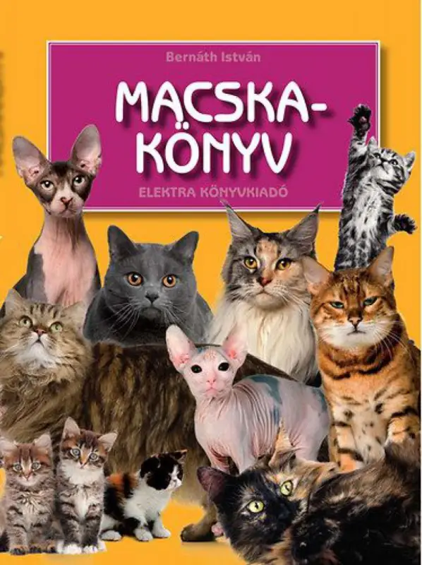 Macskakönyv Utolsó esély