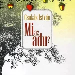 Biztonságos fizetés Mi az adu?