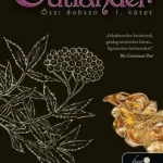 Szuper akció Outlander 4. - Őszi dobszó I-II. (keménytáblás)