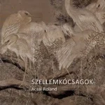 Szellemkócsagok Biztonságos fizetés