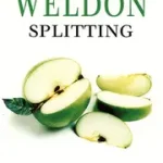 Alacsony ár SPLITTING byWeldon, Fay;