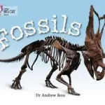 Akciós ár Collins Big Cat — FOSSILS: Band 10/White byRoss, Dr Andrew;