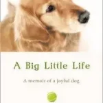 A BIG LITTLE LIFE byKoontz, Dean; Bestseller