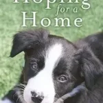 Hoping For A Home byRitson, Janie; Olcsó