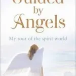 Vásárlói kedvenc GUIDED BY ANGELS: There Are No Goodbyes, My Tour of the Spirit World byMcMahon, Paddy;