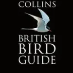 Vásárlói kedvenc Collins British Bird Guide (Collins Pocket Guide) bySvensson, Lars;Zetterstrom Dan;