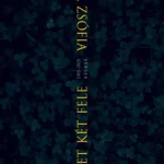 Expressz kézbesítés Az élet két fele