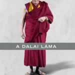 Legjobb ár A dalai láma