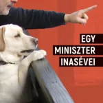Egy miniszter inasévei Ajánlat