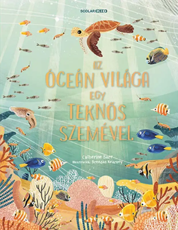 Csak ma Az óceán világa egy teknős szemével