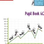 Bestseller Busy Ant Maths — PUPIL BOOK 6C byMumford, Jeanette;