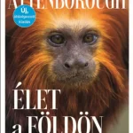 Élet a Földön Gyors kiszállítás