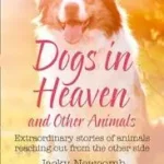 HarperTrue Fate – A Short Read — DOGS IN HEAVEN: AND OTHER ANIMALS: Extraordinary stories of animals reaching out from the other side byNewcomb, Jacky; Csak ma