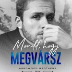 Mondd, hogy megvársz Utolsó esély
