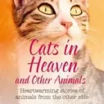 Szezonális akció HarperTrue Fate – A Short Read — CATS IN HEAVEN: And Other Animals. Heartwarming stories of animals from the other side. byNewcomb, Jacky;
