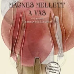 Alacsony ár Mágnes mellett a vas