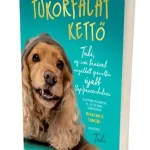 Tukorfalat Kettő Akció
