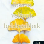 Legnépszerűbb Sosem voltunk boldogabbak