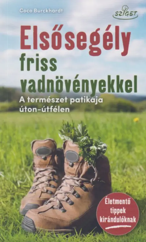 Elsősegély friss vadnövényekkel Csak ma