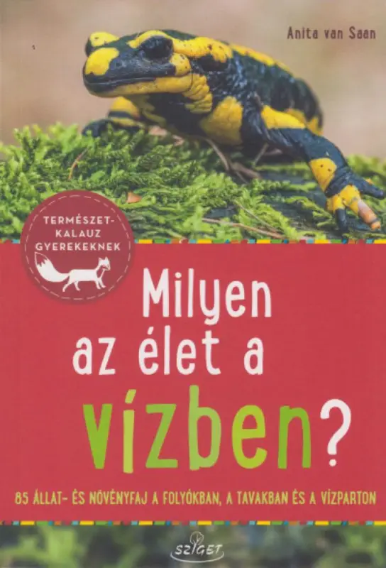 Milyen az élet a vízben? Ne maradj le