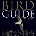 Végkiárusítás COLLINS BIRD GUIDE [Third edition] bySvensson, Lars;