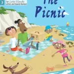 Ajánlat Big Cat Phonics for Little Wandle Letters and Sounds Revised – Age 7+ — THE PICNIC: Phase 3 Set 1 Blending practice byBaker, Catherine;