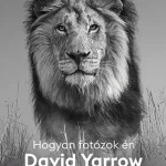 Prémium Hogyan fotózok én - David Yarrow