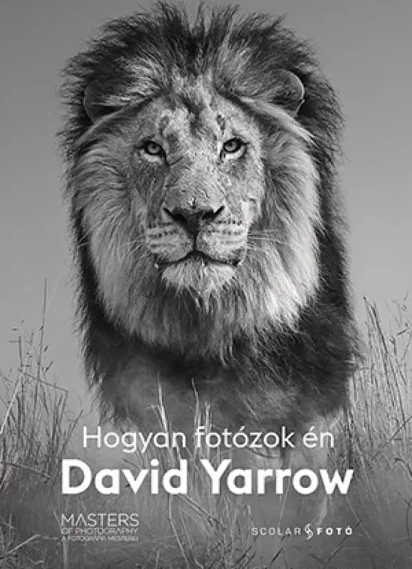 Prémium Hogyan fotózok én - David Yarrow