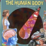 Torch Book - The human body Újdonság