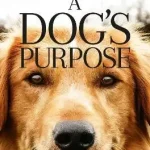 A Dog's Purpose Expressz szállítás