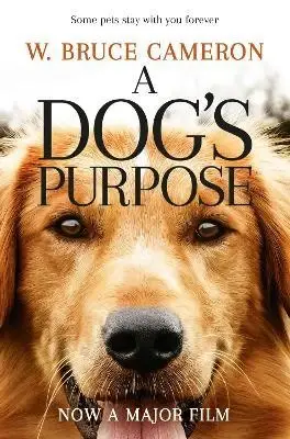 A Dog's Purpose Expressz szállítás