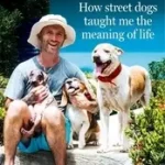 HOPE – HOW STREET DOGS TAUGHT ME THE MEANING OF LIFE: Featuring Rodney, McMuffin and King Whacker byHarbison, Niall; Legjobb ár