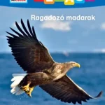 Csak ma Ragadozó madarak - Mi Micsoda (Olvasó)