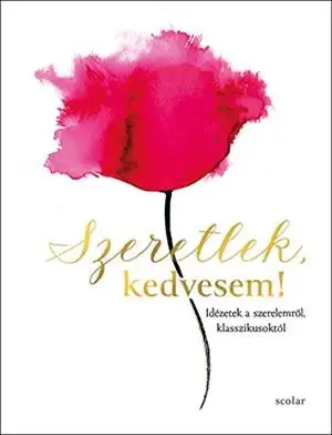 Utolsó esély Szeretlek, kedvesem!