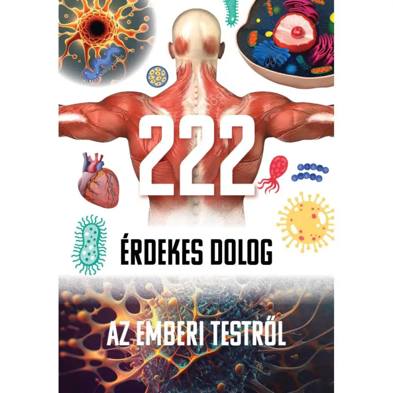 222 érdekesség az emberi testről Akció