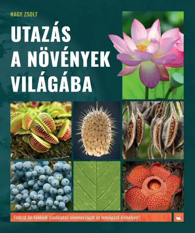 Árcsökkenés Utazás a növények világába