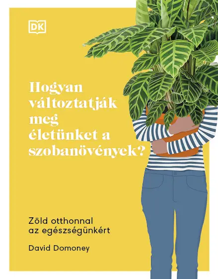 Hogyan változtatják meg életünket a szobanövények? Ajánlat