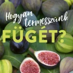 Bestseller Hogyan termesszünk fügét?