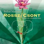 Rossz/csont Akciós ár