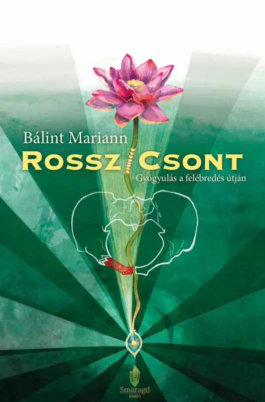 Rossz/csont Akciós ár