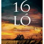 16 ló Azonnal elérhető